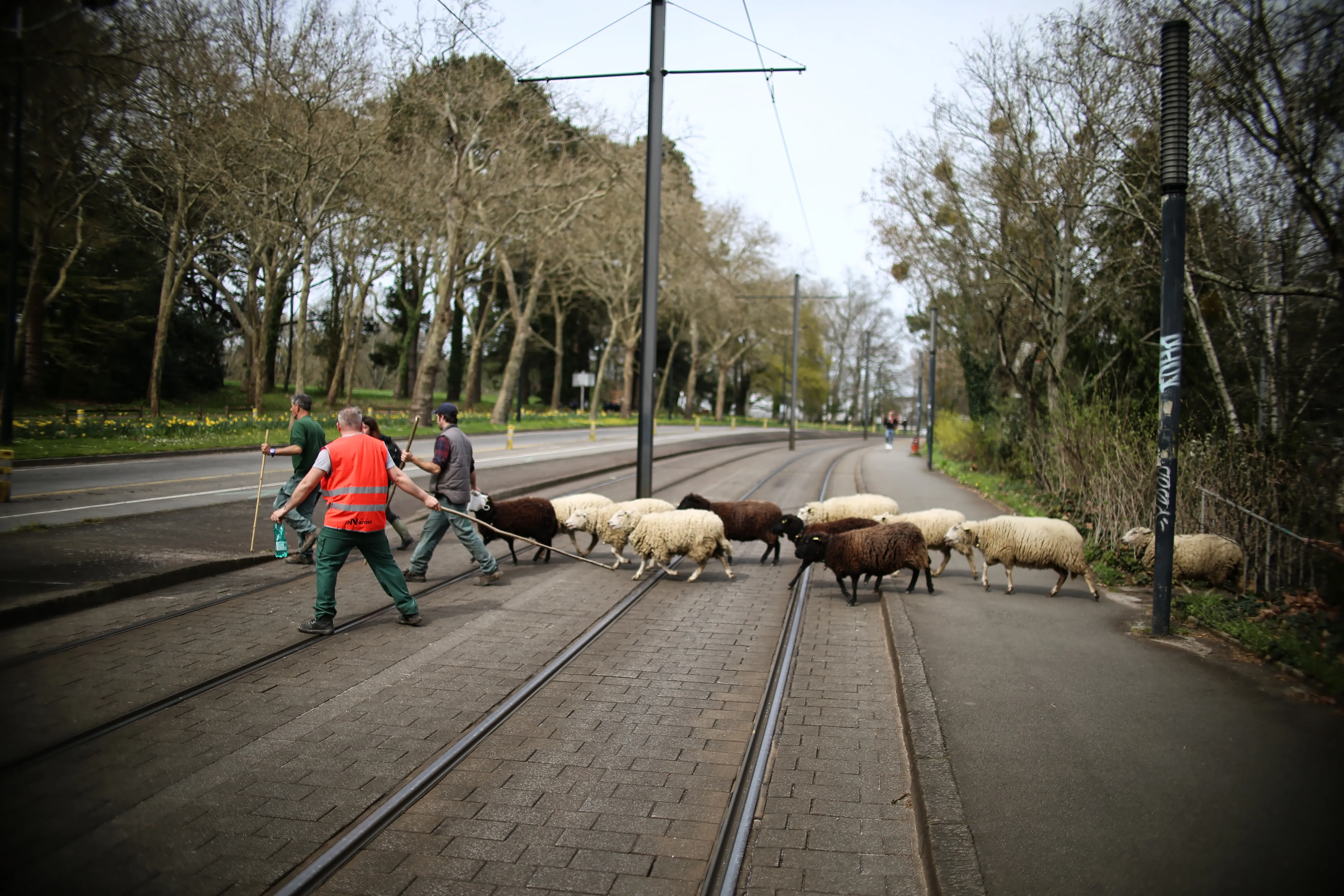 Passage délicat aux abords du tramway © Romain Boulanger